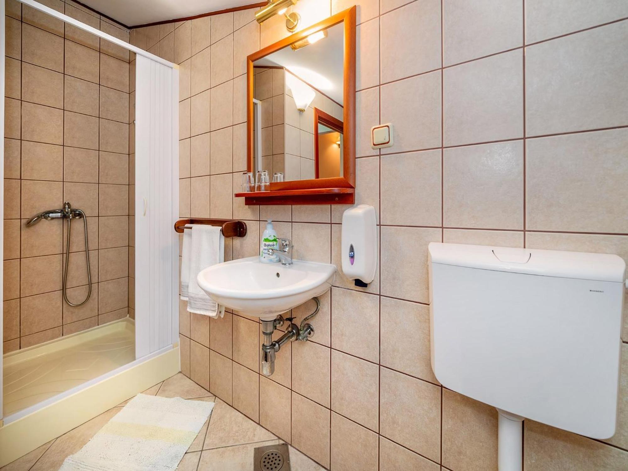 Apartments Villa Roza Drazice Room photo